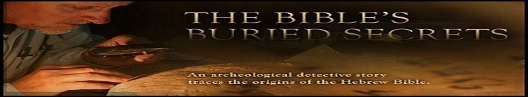 Download The Girl Who Kicked the Hornets Nest 2009